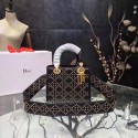 Dior CANNAGE Original Calfskin Leather Tote Bag 3891 black JH07630Am73