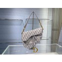 Imitation SADDLE BAG Dior Oblique Embroidered Velvet C0044 gray JH06865vW26