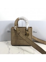 Best LADY DIOR TOTE BAG IN EMBROIDERED CANVAS C4532 apricot JH07089CF36